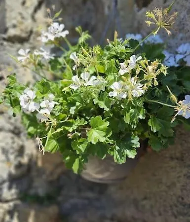 La Doucette Proche Des Cascades Salles-la-Source