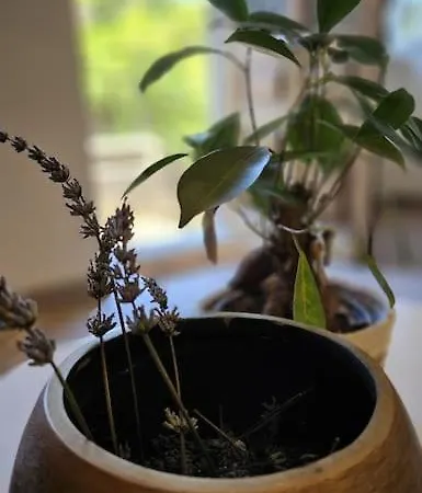 Feriehus La Doucette Proche Des Cascades Salles-la-Source