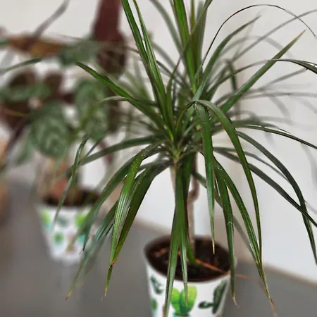 La Doucette Proche Des Cascades 別荘